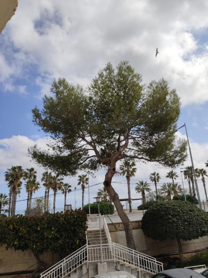 Apartamento Mare Nostrum Playa Arrabassada Таррагона Экстерьер фото